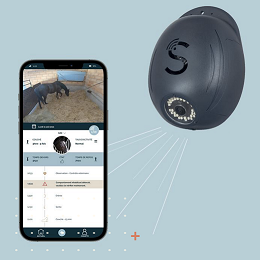 Réalisation caméra connecté novo stable