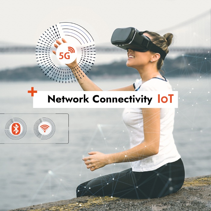 IoT network connectivity