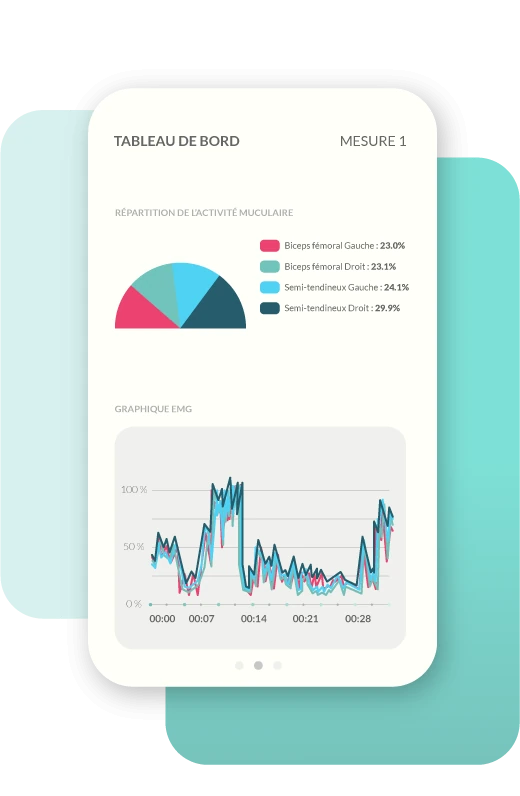 Optimergo software interface